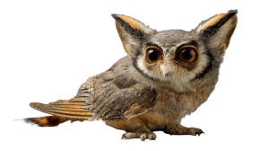 Mythical Cat Creature Vinyl Car Decal Sticker – Waterproof & UV-Resistant 2.72"