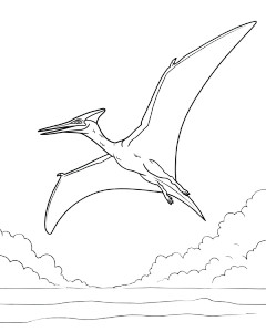 Pteranodon Outline Vinyl Car Decal Sticker – Waterproof & UV-Resistant 4.0"