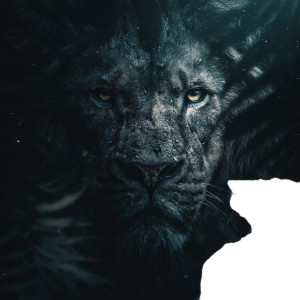 Roaring Lion Portrait V2 Vinyl Car Decal Sticker – Waterproof & UV-Resistant 6.826666666666667" Roaring Lion Portrait V2 Vinyl Car Decal Sticker – Waterproof & UV-Resistant 6.826666666666667"