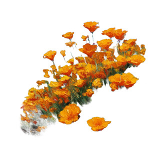 Vibrant California Poppies V2 Vinyl Car Decal Sticker – Waterproof & UV-Resistant 3.4133333333333336"