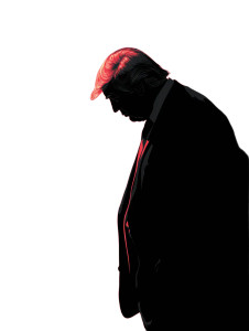 Trump Shadow Vinyl Car Decal Sticker – Waterproof & UV-Resistant 8.213333333333333"