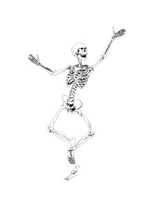 Skeletal Hula Dancer Vinyl Car Decal Sticker – Waterproof & UV-Resistant 4.266666666666667"