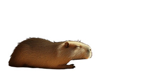 Sleeping Capybara Vinyl Car Decal Sticker – Waterproof & UV-Resistant 2.72"