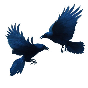 Crows In Flight V2 Vinyl Car Decal Sticker – Waterproof & UV-Resistant 3.4133333333333336"