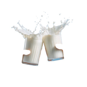 Clinking Milk Glasses Vinyl Car Decal Sticker – Waterproof & UV-Resistant 6.826666666666667"