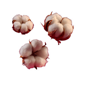 Floating Cotton Flowers Vinyl Car Decal Sticker – Waterproof & UV-Resistant 3.4133333333333336"