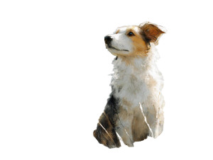 Lovely Dog V3 Vinyl Car Decal Sticker – Waterproof & UV-Resistant 3.0933333333333333"