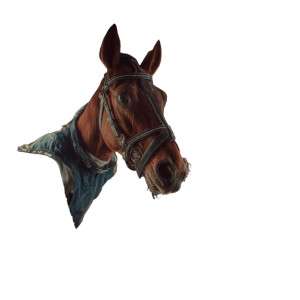 Horse Pilot Vinyl Car Decal Sticker – Waterproof & UV-Resistant 6.826666666666667"