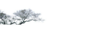 Ancient Tree Reflection Vinyl Car Decal Sticker – Waterproof & UV-Resistant 2.72" Ancient Tree Reflection Vinyl Car Decal Sticker – Waterproof & UV-Resistant 2.72"