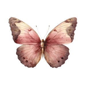 Vintage Butterfly V3 Vinyl Car Decal Sticker – Waterproof & UV-Resistant 6.826666666666667" Vintage Butterfly V3 Vinyl Car Decal Sticker – Waterproof & UV-Resistant 6.826666666666667"