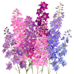 Delphinium Larkspur Flowers Vinyl Car Decal Sticker – Waterproof & UV-Resistant 3.4133333333333336" Delphinium Larkspur Flowers Vinyl Car Decal Sticker – Waterproof & UV-Resistant 3.4133333333333336"