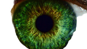 Green Eye Pupil Vinyl Car Decal Sticker – Waterproof & UV-Resistant 5.4