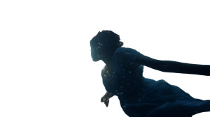 Kamakura Diary Still Vinyl Car Decal Sticker – Waterproof & UV-Resistant 2.72"