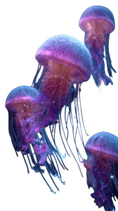 Phosphorescent Jellyfish Vinyl Car Decal Sticker – Waterproof & UV-Resistant 9.706666666666667" Phosphorescent Jellyfish Vinyl Car Decal Sticker – Waterproof & UV-Resistant 9.706666666666667"