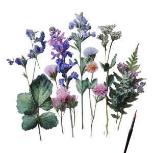 Watercolor Field Flowers Vinyl Car Decal Sticker – Waterproof & UV-Resistant 3.4133333333333336" Watercolor Field Flowers Vinyl Car Decal Sticker – Waterproof & UV-Resistant 3.4133333333333336"