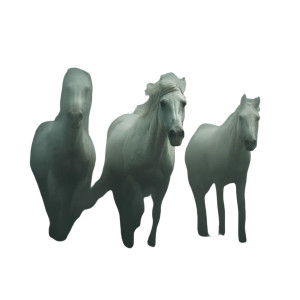 Horse Ghosts Vinyl Car Decal Sticker – Waterproof & UV-Resistant 6.826666666666667" Horse Ghosts Vinyl Car Decal Sticker – Waterproof & UV-Resistant 6.826666666666667"