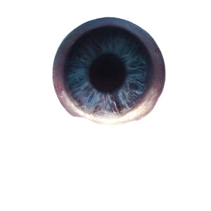 Cosmic Eyeball Vinyl Car Decal Sticker – Waterproof & UV-Resistant 3.4133333333333336"