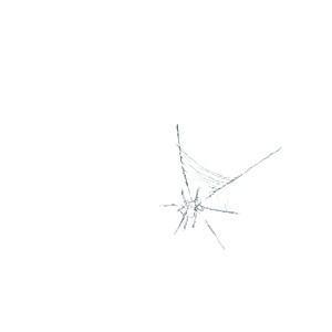 Spider In Web Vinyl Car Decal Sticker – Waterproof & UV-Resistant 3.4133333333333336"