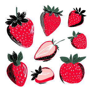 Stylised Strawberry Illustrations Vinyl Car Decal Sticker – Waterproof & UV-Resistant 6.826666666666667" Stylised Strawberry Illustrations Vinyl Car Decal Sticker – Waterproof & UV-Resistant 6.826666666666667"