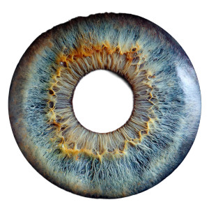 Iris And Pupil Vinyl Car Decal Sticker – Waterproof & UV-Resistant 3.4133333333333336"