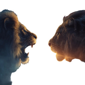 Lion Of Unity Vinyl Car Decal Sticker – Waterproof & UV-Resistant 6.826666666666667"