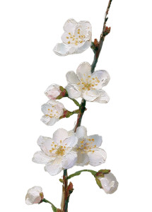 White Sakura Painting Vinyl Car Decal Sticker – Waterproof & UV-Resistant 4.32"