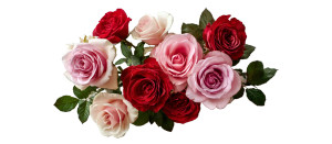 Floral Bouquet V11 Vinyl Car Decal Sticker – Waterproof & UV-Resistant 4.