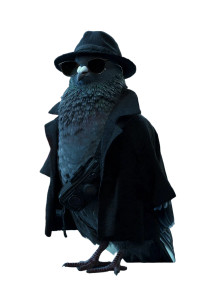 Spy Pigeon Noir Vinyl Car Decal Sticker – Waterproof & UV-Resistant 8.96"