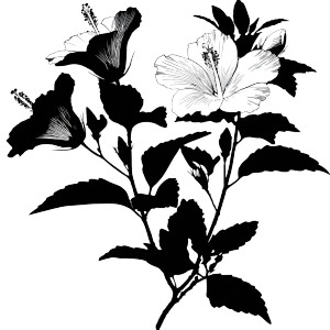 Hibiscus Silhouette Vinyl Car Decal Sticker – Waterproof & UV-Resistant 3.4133333333333336"
