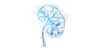 Glowing Wireframe Kidney Vinyl Car Decal Sticker – Waterproof & UV-Resistant 2.72"