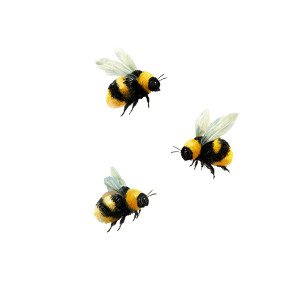 Flying Bees Illustration Vinyl Car Decal Sticker – Waterproof & UV-Resistant 3.4133333333333336" Flying Bees Illustration Vinyl Car Decal Sticker – Waterproof & UV-Resistant 3.4133333333333336"