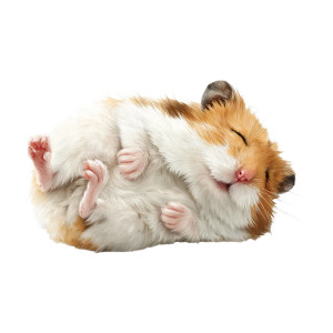 Sleeping Hampster Vinyl Car Decal Sticker – Waterproof & UV-Resistant 3.4133333333333336"