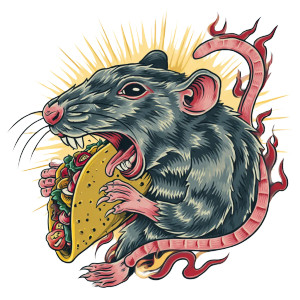 Rat Eating Taco Vinyl Car Decal Sticker – Waterproof & UV-Resistant 6.826666666666667"