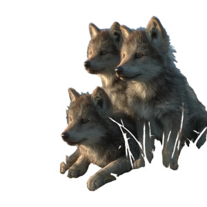 Wolf Cubs Vinyl Car Decal Sticker – Waterproof & UV-Resistant 3.4133333333333336" Wolf Cubs Vinyl Car Decal Sticker – Waterproof & UV-Resistant 3.4133333333333336"