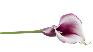 Elegant Flower Vinyl Car Decal Sticker – Waterproof & UV-Resistant 2.72"