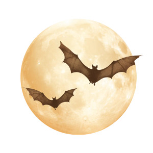 Halloween Bats Moon Vinyl Car Decal Sticker – Waterproof & UV-Resistant 3.4133333333333336"