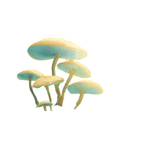 Giant Mushrooms Vinyl Car Decal Sticker – Waterproof & UV-Resistant 6.826666666666667" Giant Mushrooms Vinyl Car Decal Sticker – Waterproof & UV-Resistant 6.826666666666667"