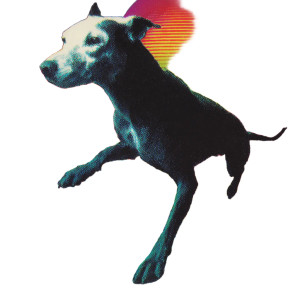 Surfing Dog Vinyl Car Decal Sticker – Waterproof & UV-Resistant 6.826666666666667" Surfing Dog Vinyl Car Decal Sticker – Waterproof & UV-Resistant 6.826666666666667"