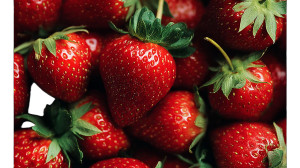 Strawberries Photo Vinyl Car Decal Sticker – Waterproof & UV-Resistant 2.72"