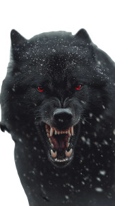Black Wolf Howling V2 Vinyl Car Decal Sticker – Waterproof & UV-Resistant 4.8533333333333335"