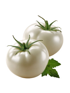 White Tomatoes Vinyl Car Decal Sticker – Waterproof & UV-Resistant 8.213333333333333" White Tomatoes Vinyl Car Decal Sticker – Waterproof & UV-Resistant 8.213333333333333"