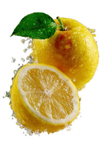 Falling Fruit Halves V2 Vinyl Car Decal Sticker – Waterproof & UV-Resistant 8.213333333333333"