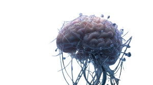 Futuristic Brain Tank Vinyl Car Decal Sticker – Waterproof & UV-Resistant 2.72"