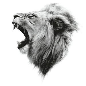 Lion Head Tattoo V2 Vinyl Car Decal Sticker – Waterproof & UV-Resistant 3.4133333333333336"