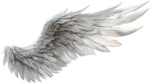 Realistic Angel Wing V2 Vinyl Car Decal Sticker – Waterproof & UV-Resistant 2.72"