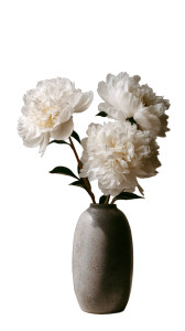 White Peonies Arrangement Vinyl Car Decal Sticker – Waterproof & UV-Resistant 9.706666666666667" White Peonies Arrangement Vinyl Car Decal Sticker – Waterproof & UV-Resistant 9.706666666666667"