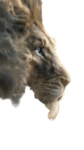 Lion Cloud Hybrid Vinyl Car Decal Sticker – Waterproof & UV-Resistant 9.706666666666667" Lion Cloud Hybrid Vinyl Car Decal Sticker – Waterproof & UV-Resistant 9.706666666666667"