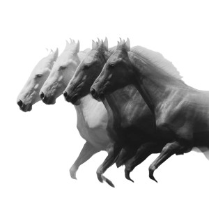 Majestic Motion Horse V2 Vinyl Car Decal Sticker – Waterproof & UV-Resistant 6.826666666666667"