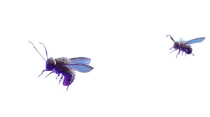 Microscopic Insect City Vinyl Car Decal Sticker – Waterproof & UV-Resistant 2.72"