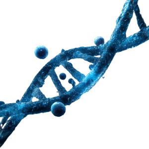 Dna And Cells Vinyl Car Decal Sticker – Waterproof & UV-Resistant 3.4133333333333336"